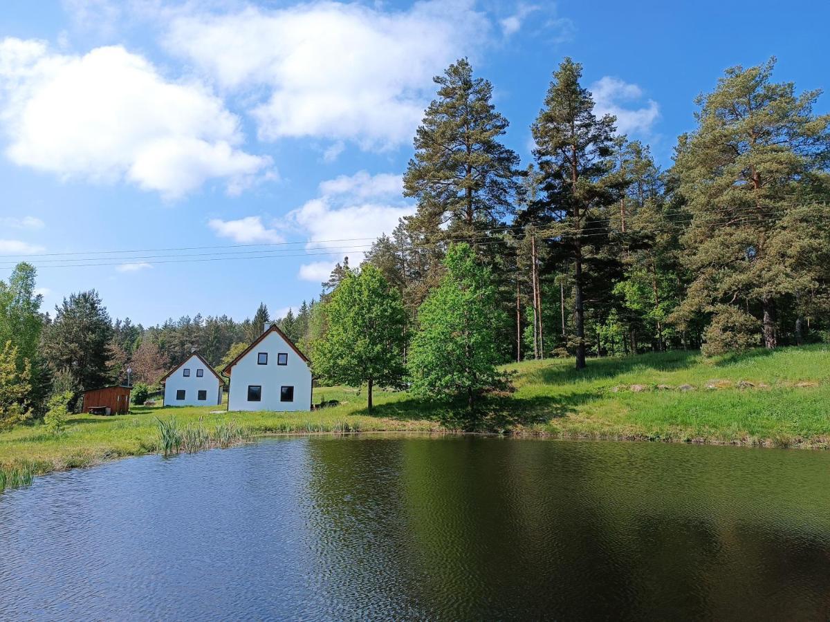 Klidna Lokalita Na Kraji Lesa, Cely Dum S Uschovnu Kol Villa Nová Bystřice Екстериор снимка